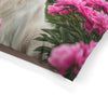 Pet Bed – Plush Dog Bed, 3 Size Options