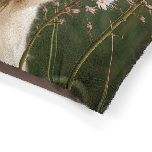 Pet Bed – Plush Dog Bed, 3 Size Options