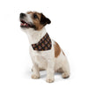 No Kings Bandana and Collar