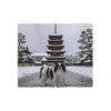 Japanese Chin Blanket