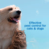 Adams Flea & Tick Spray for Dogs & Cats 16 oz. Kills Fleas Eggs Larvae Ticks