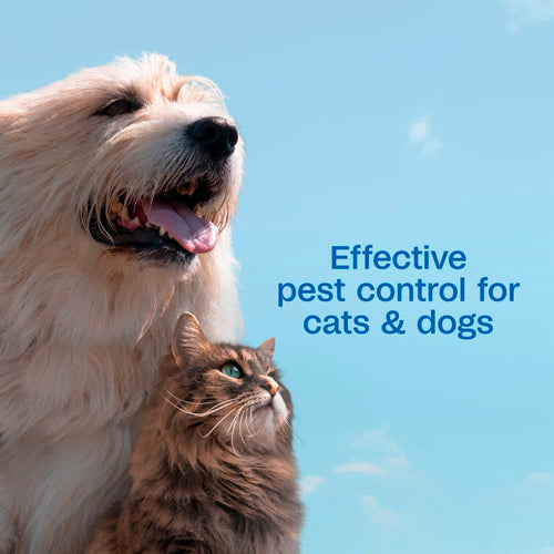 Adams Flea & Tick Spray for Dogs & Cats 16 oz. Kills Fleas Eggs Larvae Ticks