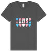 Trans Unisex V-Neck Shirt