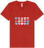 Trans Unisex V-Neck Shirt