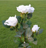 white rose lantern 3LED white romantic rose lantern