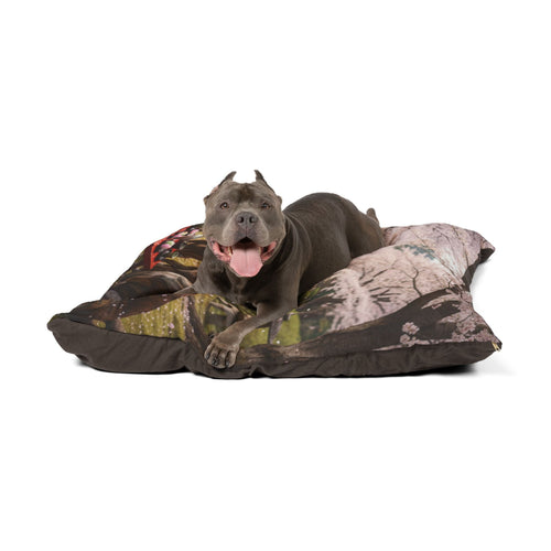 Kai Ken Pet Bed