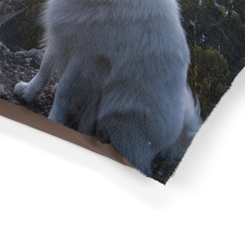 Japanese Spitz Pet Bed