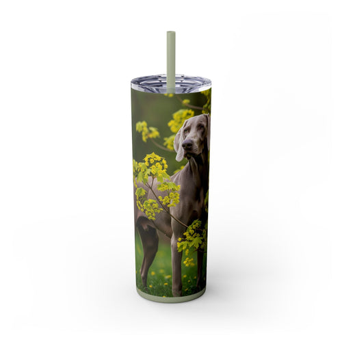 Skinny Tumbler with Straw – 20 oz Stainless Steel Cup