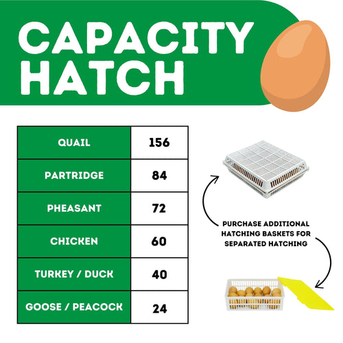 180 Eggs Incubator Kit (120 Set + 60 Hatch)