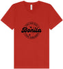 Not Bonita, Stressita Unisex V-Neck Shirt