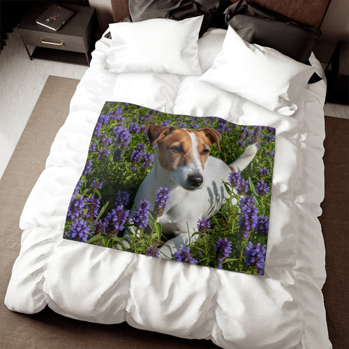 Sweatshirt Blanket – Plush Fleece Throw, 2 Size Options