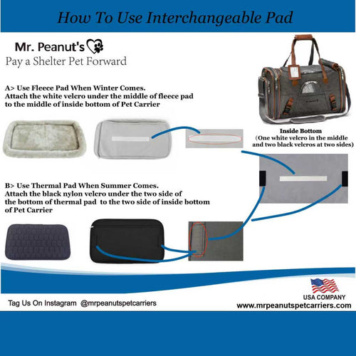 Mr. Peanut's Gold Series Standard Size Airline Compliant Pet Carrier V3.0