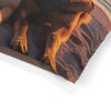 Pet Bed – Plush Dog Bed, 3 Size Options