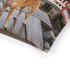 Shiba Inu Pet Bed