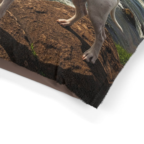 Dogo Argentino Pet Bed