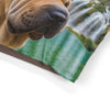 Shar Pei Pet Bed