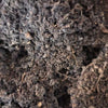 Memes VermiFusion Blend Worm Bedding (SC)