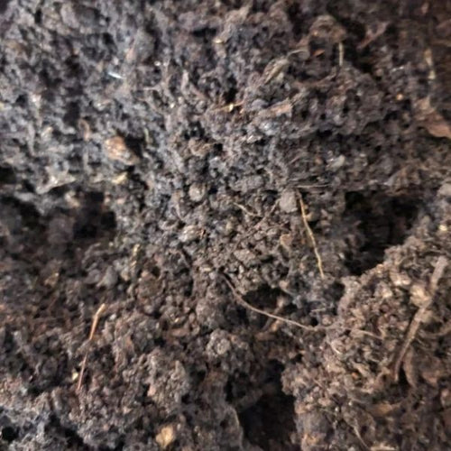 Memes VermiFusion Blend Worm Bedding (SC)