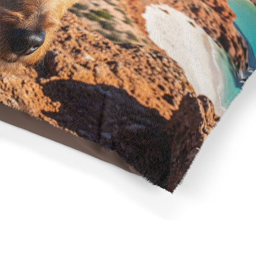 Australian Terrier Pet Bed