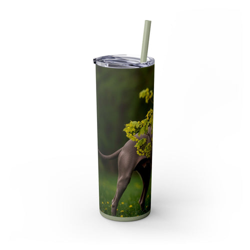 Skinny Tumbler with Straw – 20 oz Stainless Steel Cup