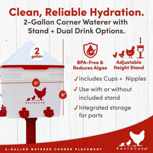 RentACoop 2 Gallon Chicken Waterer with 4 Cups and 4 Nipples - Corner Placement