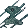 Evergreen Dream Leashes