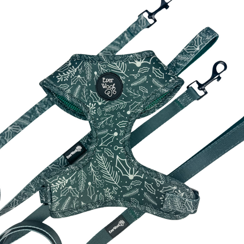 Evergreen Dream Leashes