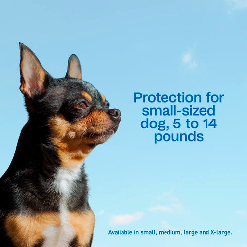 Adams Complete Indoor & Outdoor Flea Treatment System for Small Dogs 5–14 lbs