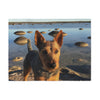 Australian Terrier Blanket