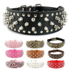 Rivet Studded Large Dog Collar