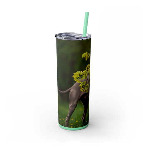 Skinny Tumbler with Straw – 20 oz Stainless Steel Cup