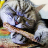 5 PCS Matatabi Catnip Chew Toy