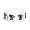 Ceramic Pet Bowl – 16 oz Dog Feeding Bowl