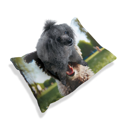 Pet Bed – Plush Dog Bed, 3 Size Options