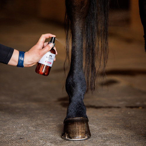 Formula 44 Spray