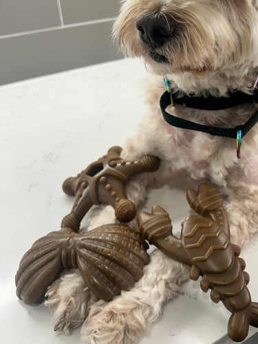 Ocean Theme Indestructible Chew Toy- For Tough Chewers