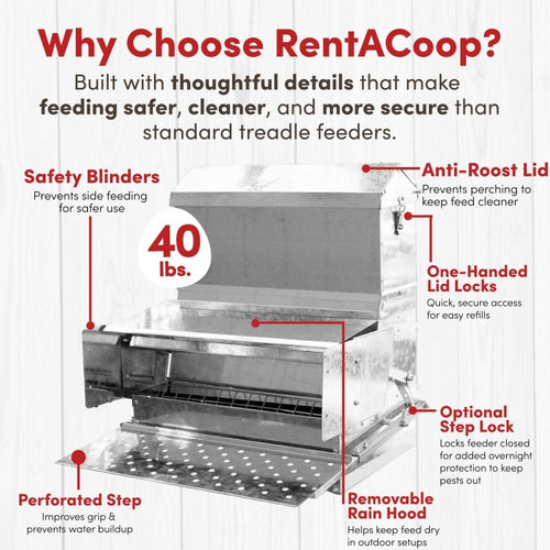 RentACoop 40 lb Automatic Treadle Chicken Feeder