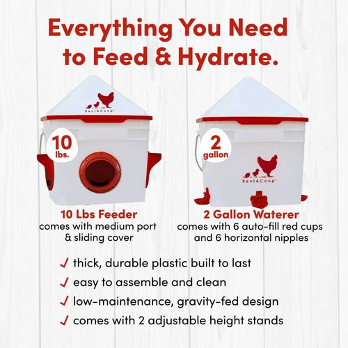 RentACoop Chick2Chicken 10lb Feeder & 2 Gal Waterer Set