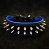 Frenchie collar
