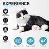 Percy Robot Cat – Interactive Weighted Comfort Toy