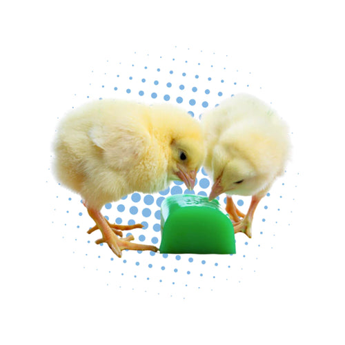 GroGel Chick Hydration