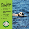 Eco-Friendly Hemp Dog Toy – The Ultimate Eco-Fetcher for Your Pup