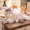 Tracy Weighted 3lbs –Relaxing Cat Toy Comfort Calming Plush