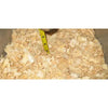 Pestell Pet Products Easy Clean Small Animals Pine Bedding 20L