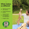 Eco-Owl Buddy: The Non Toxic Hemp Dog Toy