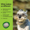 Natural Eco-Friendly Dog Toy - The Ultimate Eco-Tosser
