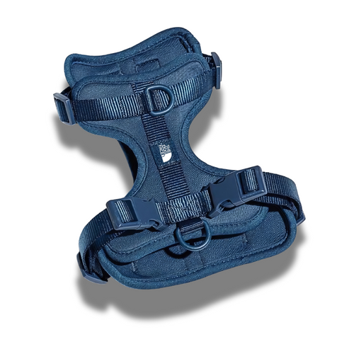 Summit Series Harness