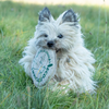 Eco-Friendly Hemp Dog Toy – The Ultimate Eco-Fetcher for Your Pup