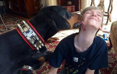 The Metal collar- personalized!