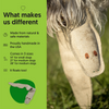 Eco-Friendly, Non-Toxic Dog Toy - Eco Rattler For Safe Play